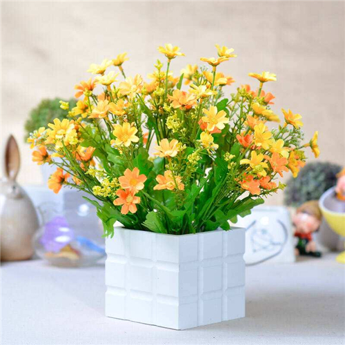 客厅风水树选什么植物好 对客厅风水起到什么调节作用