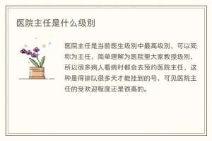 医院主任是什么级别